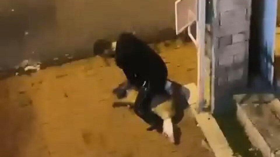 Bir vahşet de İstanbul'da! Köpeği boğmaya çalıştı