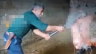 Konya'nın ardından şimdi de Mardin! Vahşet-2!