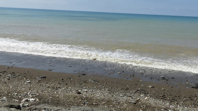 Karadeniz'de tehlike çanları! Limitlerin üstünde çıktı