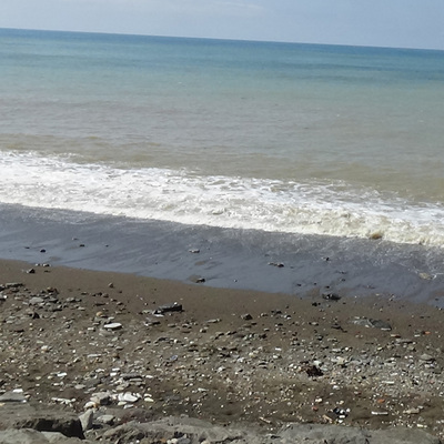 Karadeniz'de tehlike çanları! Limitlerin üstünde çıktı