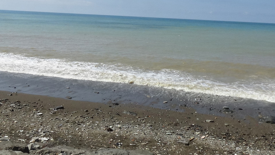 Karadeniz'de tehlike çanları! Limitlerin üstünde çıktı