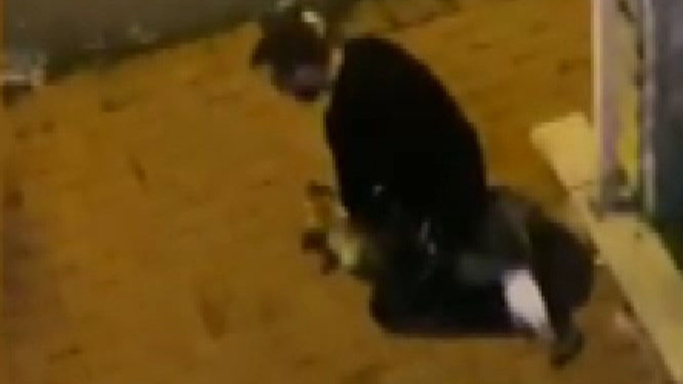 Köpeği boğmaya çalışan saldırgan tutuklandı!