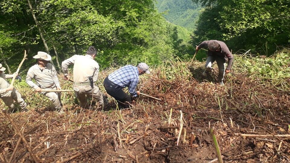 Ormanda bulunan kemiklerle ilgili korkunç şüphe!