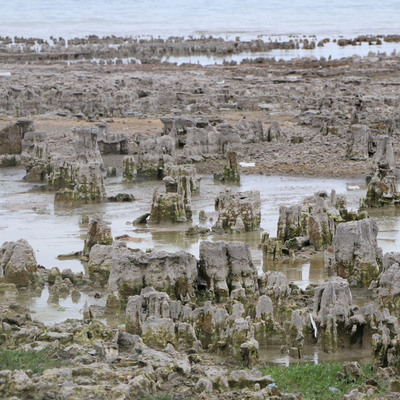 Kuraklık ortaya çıkardı! Van Gölü'nde şaşırtan görüntü