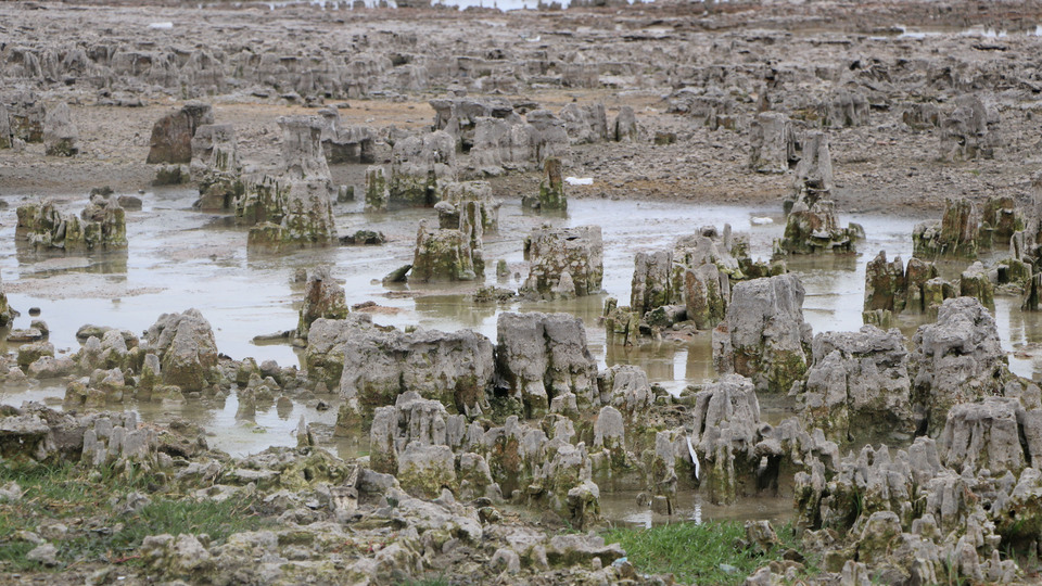 Kuraklık ortaya çıkardı! Van Gölü'nde şaşırtan görüntü