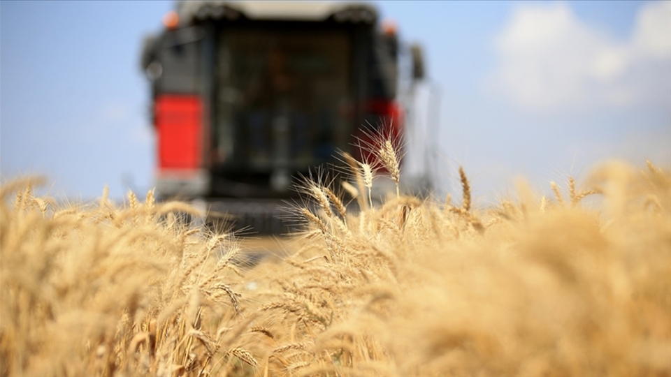 Küresel gıda fiyatları kasımda düştü