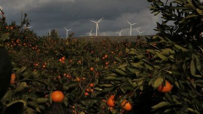 Her diliminde hayat var