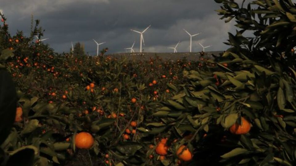 Her diliminde hayat var