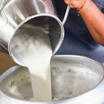 Süt alırken dikkat! Üretim 23 milyon ton ama…