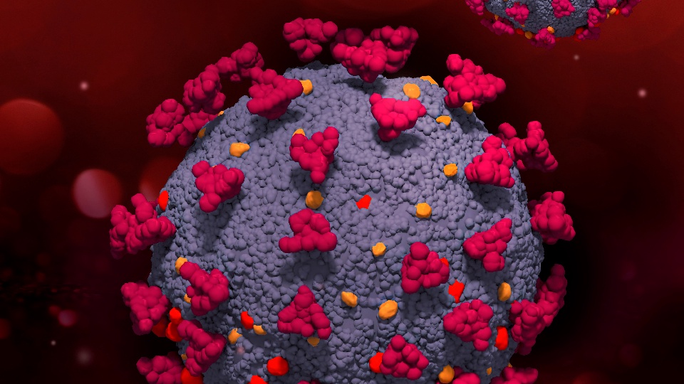 Koronavirüs kanser hücrelerinin yayılımını hızlandırıyor!