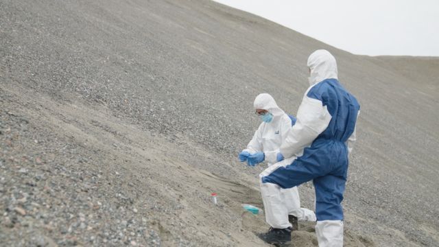 Tarihi DNA örnekleri Kuzey Kutbu'nda iki milyon yıl önceki yaşamı ortaya koydu
