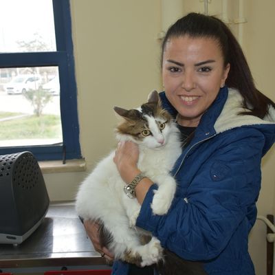 Ülke genelinde 700 bine yakın evcil hayvana çip takıldı