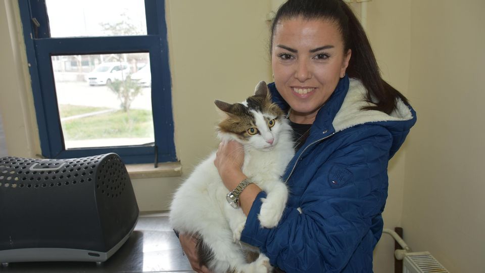 Ülke genelinde 700 bine yakın evcil hayvana çip takıldı