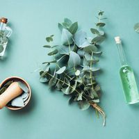 Kış aylarının kabusu burun tıkanıklığını anında açıyor! Bitkisel çözümlerle rahat bir nefes alın