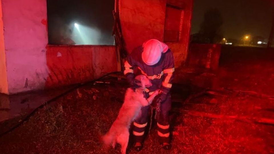 Alevlerden kurtarıldı! İtfaiyeciye sarıldı!