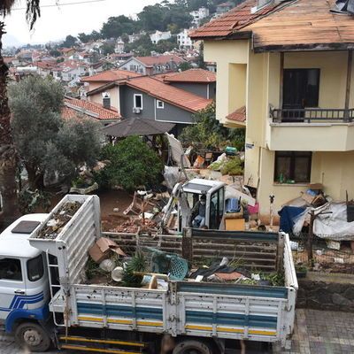 Marmaris'te bir evde çok sayıda kedi ve köpek ölüsü bulundu