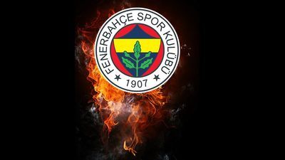 Fenerbahçe'de sakatlık şoku!