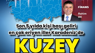 Kuzey buz kesti