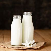 Her gün süt içerseniz vücudunuzda ne gibi değişiklikler olur?