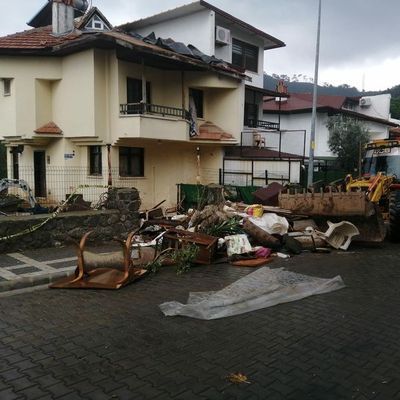 Evinde 20'nin üzerinde kedi ve köpek ölüsü bulundu! İfadesi ortaya çıktı!