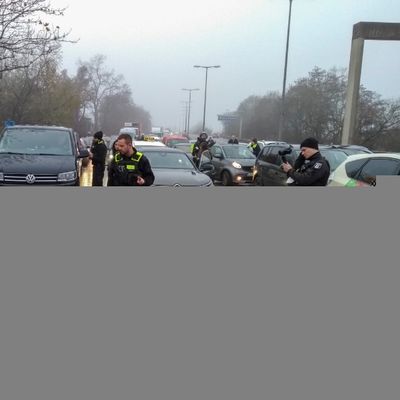 Almanya'da çevreci grupların evlerine baskın