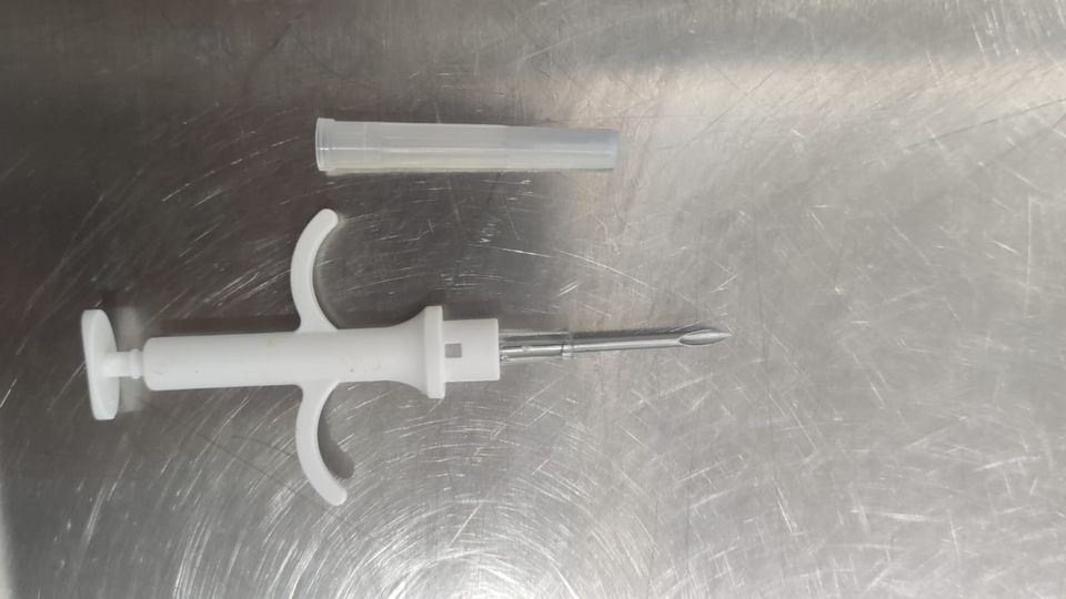 Evimizdeki kediçipler