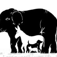 Aslında siz kimsiniz? Bu testle karakterinizi öğrenin