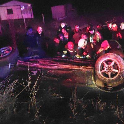 Kediye çarpmadı ama... Kahreden haber!