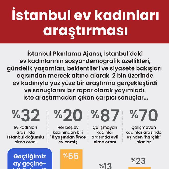 İstanbul ev kadınları araştırması