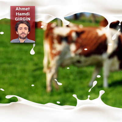 Sütten ağzımız yanacak