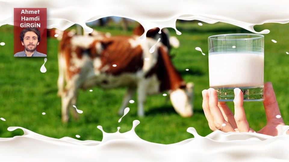 Sütten ağzımız yanacak