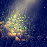 Strep A uyarısı! Dakikaların bile önemi var, hemen acile...