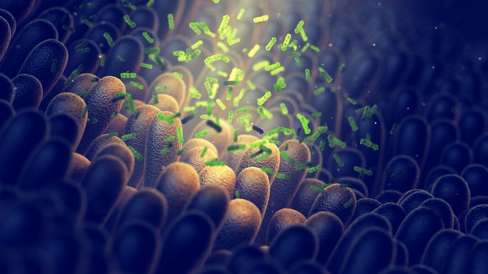 Strep A uyarısı! Dakikaların bile önemi var, hemen acile...