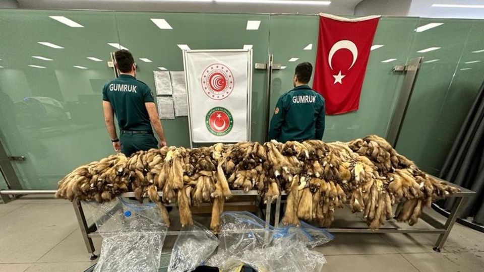 1200 adet! Havalimanında ele geçirildi!