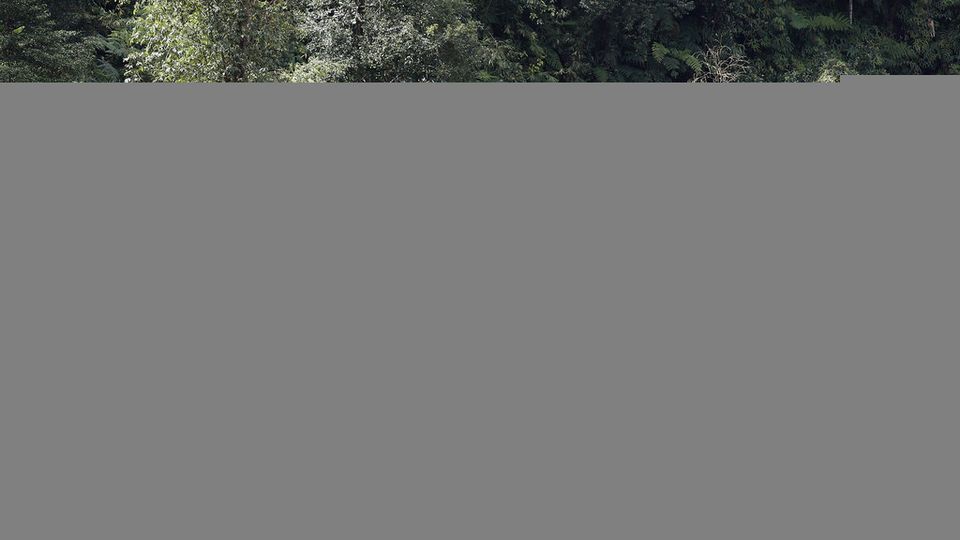 Malezya'da toprak kayması: 16 kişi öldü