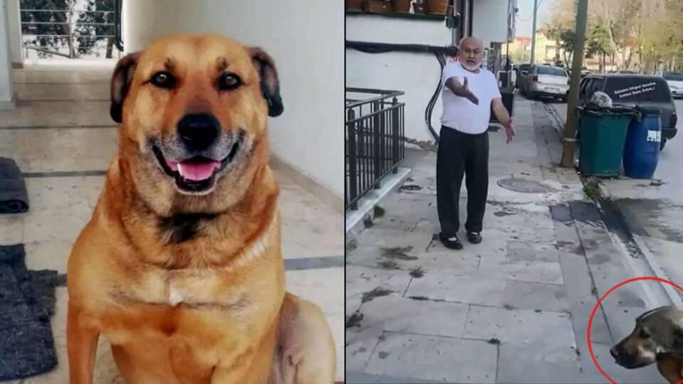 "Paşa"nın katiline mahkemeden flaş karar!