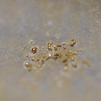 Bilim dünyasında yankı uyandırdı!