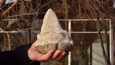 Kahramanmaraş'ta 'megalodon' dişi bulundu