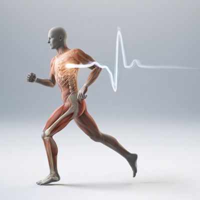 İnsan vücudu hakkında daha önce duymadığınız ilginç bilgiler