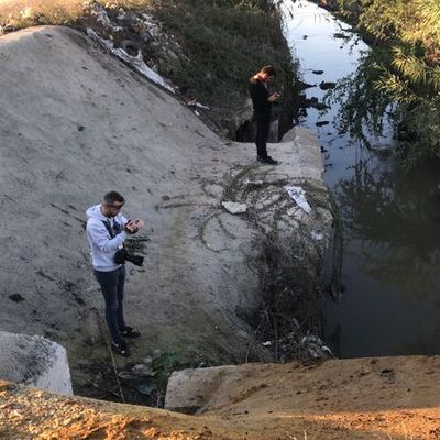 Adana'da çok sayıda eşek başı bulundu