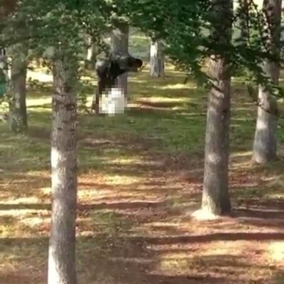 Hayvana eziyet bitmiyor! Parkta köpeğe sopayla saldırdı