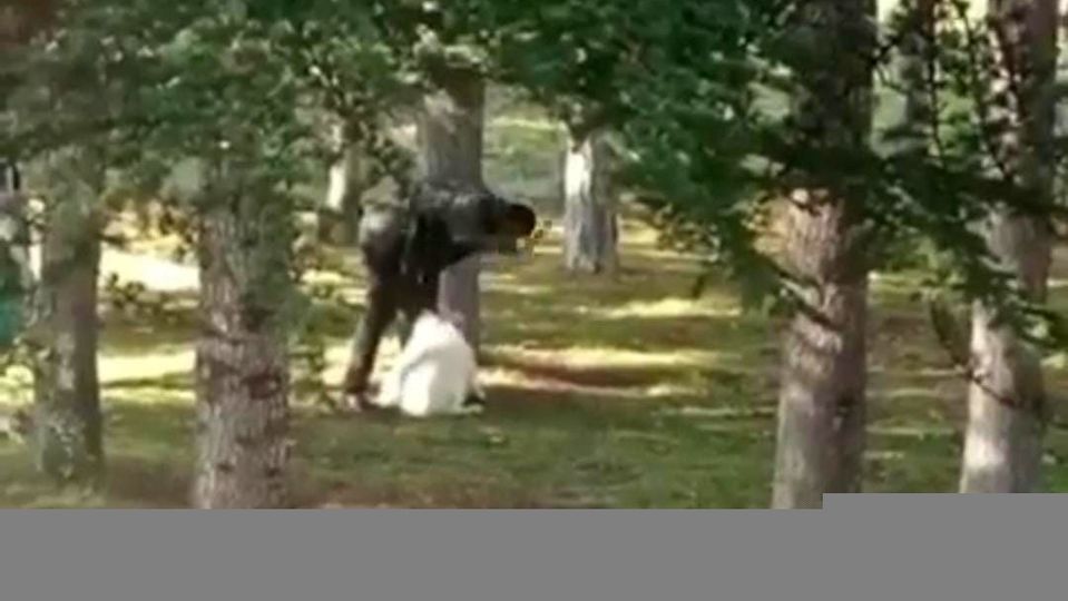 Hayvana eziyet bitmiyor! Parkta köpeğe sopayla saldırdı