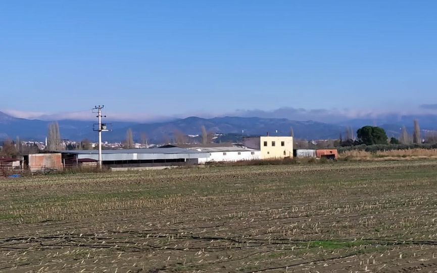 Vahşet çiftliğinde baltayla işkence yapan kadına kelepçe!