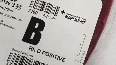 En zor bulunan kan grubu hangisidir?