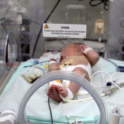 Sokağa terk edilmişti! Durumu kritik!