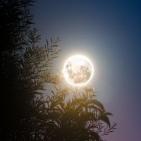 Rüyada Dolunay Görmek