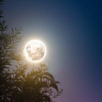 Rüyada Domates Yemek