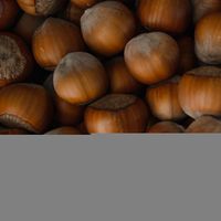 Rüyada Fındık Toplamak