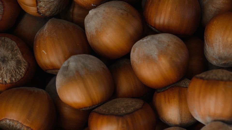 Rüyada Fındık Toplamak