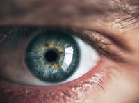 Mavi göz rengi nasıl oluşur? Mutasyon mu yoksa nereden geliyor?